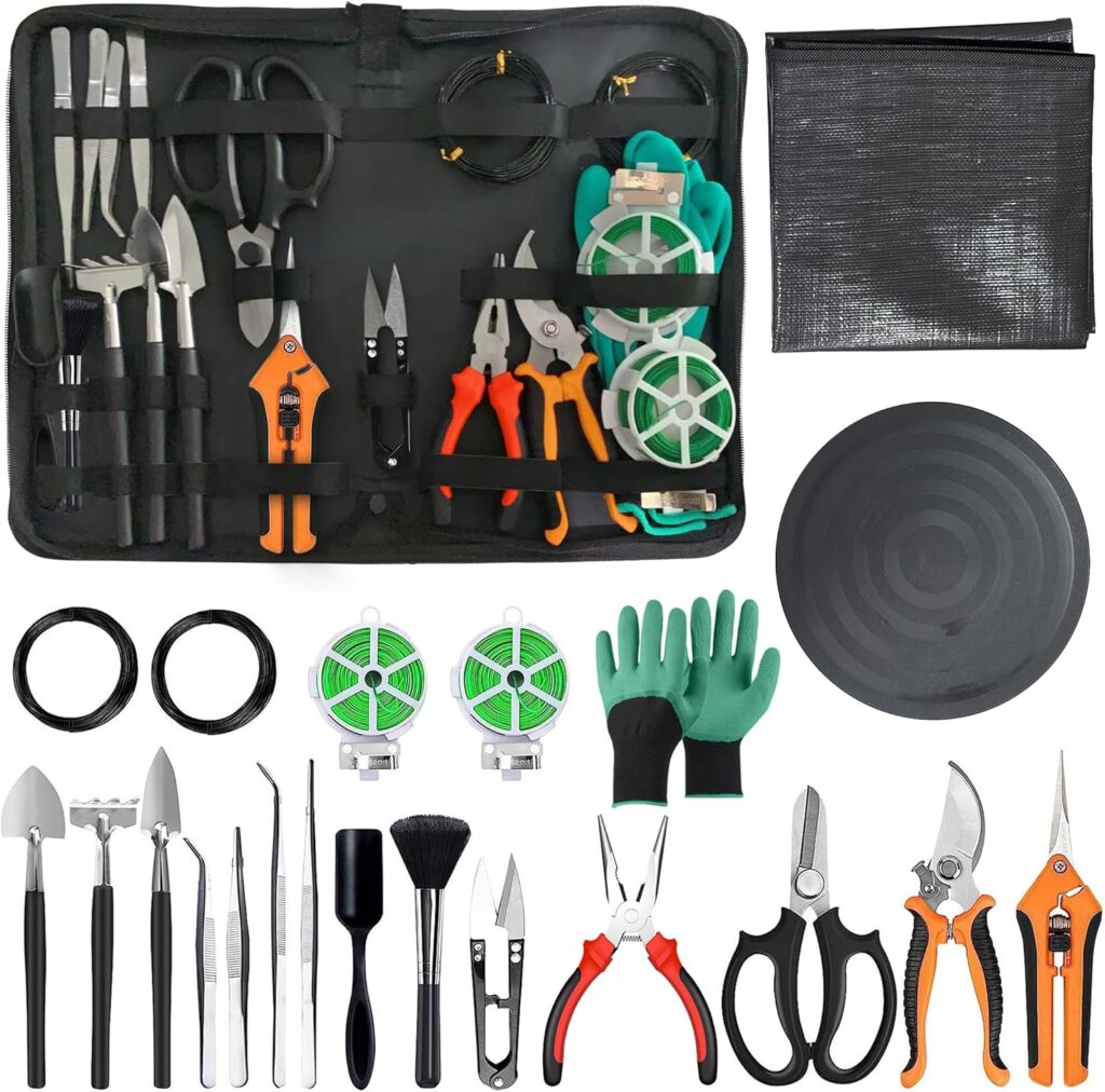 Indoor succulent tool kit