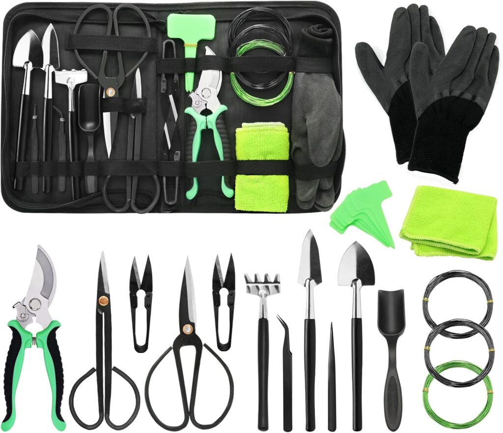 Succulent Tool Kit UK