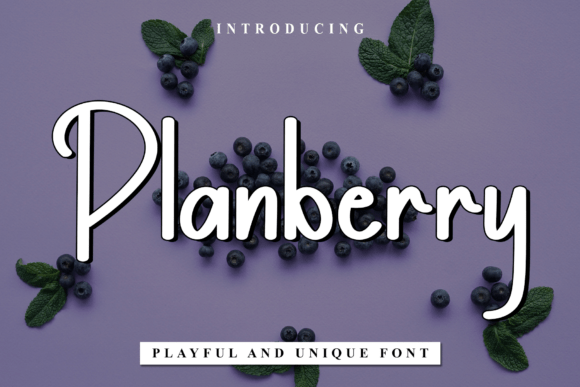 Planberry Fonts 129260539 1 1 580x387 1